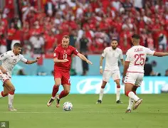 万博体育全站APP-丹麦队情况