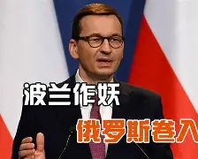 万博manbetx手机版登录入口-波兰战役详细讲解